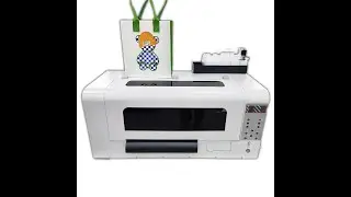 A3 small size DTF PET Film printer roll to roll 30cm xp600 with shaking oven for textile transfer