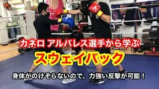 カネロアルバレス選手から学ぶ「スウェイバック」　身体がのけぞらないので力強い反撃が可能！