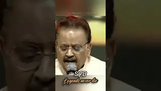 #shorts Remembering SPB | SPB Live Stage Performance | Legends Never Die | SPB Whatsapp Status