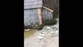 Boat Shed @ Cradle Mountain