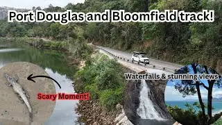 Epic things to do Port Douglas | Cape Tribulation | Bloomfield track | Daintree Forest