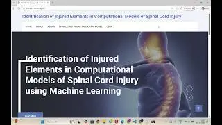 Identification of injured elements in computational models of spinal cord injury using ML