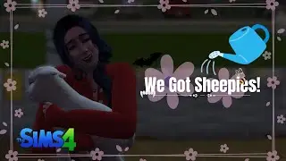 The Sims 4: We Got a Mini Sheep & Goat! (Fate Through Dice Playthrough #6)