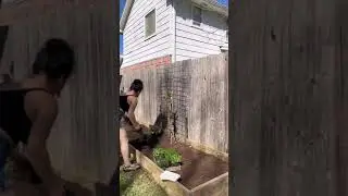 Growing my first medicinal herb garden!
