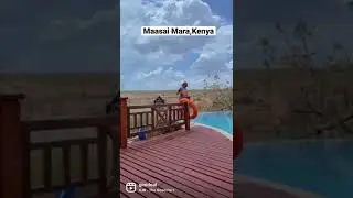 Maasai Mara Kenya 🇰🇪 || Hemingways Ol Seki Mara Camp