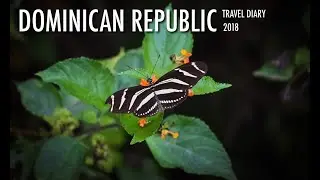 beautiful wildlife in the dominican republic | travel diary 2018