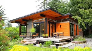 Discover the Secret to Building a Stunning Forest Cabin on a Budget | 4DX DESIGN