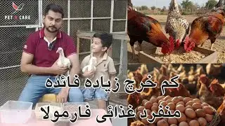Cheapest Hen Feed Formula | Chokar, Khal & Gram Husk | Low Cost Poultry Feed for Eggs & Meat 