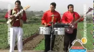 SAMUELITO GAGO- EL PICAFLOR YAUYINO - PALOMITA TORCASINA
