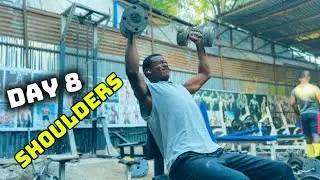 Day 8 / 60 day body transformation shoulders workout 