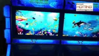2016 most popular in the world 100% IGS 3D Angry Deep Whale Fishing Game Machine