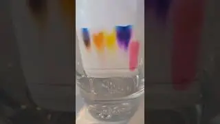 Easy Science experiment you NEED to do!!! #science #colors #magic