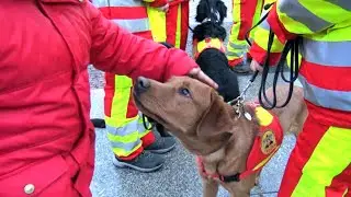 Die 1. Rettungshundestaffel im ASB Berlin