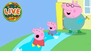 Peppa Tale | Peppa Pig Tales | Peppa Pig's Peppa Pig Tales | Live 24/7