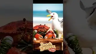 Crab & Seagull Host &lsquo;Beach Drama Live! | Funny AI Ocean Talk Show | Nebula Shot