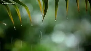 rain, Relaxing Music & Rain Sounds - Calm Piano Music, Meditation Music, Relaxing Sleep Music