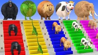 Long Slide Game With Cow Elephant Gorilla Hippopotamus Tiger 3d Animal Game Funny 3d Animals