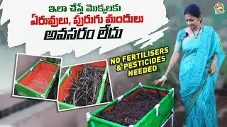 రూపాయి ఖర్చు లేకుండా ఇంట్లోనే మట్టిని తయారు చేసుకోండిలా  /Don’t ever buy soil again @MAD GARDENER