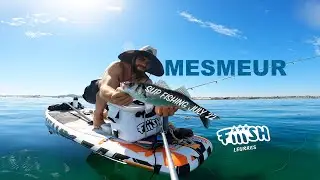 Peche aux bars, SUP Fishing