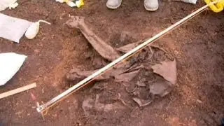 Irish 'bog body' dates backs 4000 years
