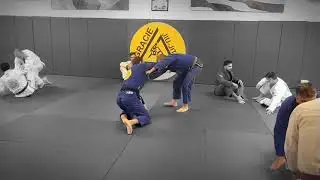 high level  black 5th degree professor  Regis Lebre trains with brown belt 🖤🤎