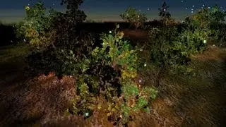 Nvidia Demo: Grove (GeForce2 Ti) HD