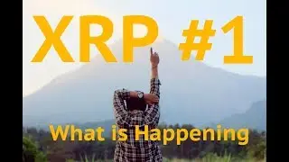 XRP Buy Now or Later?? The Big Questions for Today?? is xRapid Launching at Swell