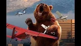 Flying into Griz Country!