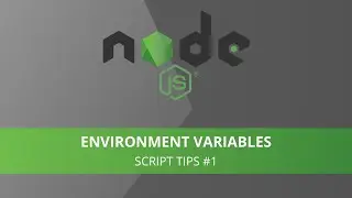 How to use Environment Variables in Node JS