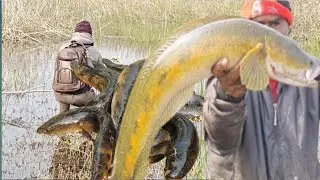 Winter Season Back To Back ll  जंगली मरल Hunting #fishinglife #youtubeshorts #youtube #viralvideo 