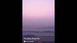 The Woey Woey Part #viralvideo #music #lifeisbutadream #cat #remix 