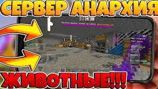СЕРВЕР МАЙНКРАФТ ПЕ 1.19 | СЕРВЕР АНАРХИЯ МАЙНКРАФТ ПЕ 1.19.11