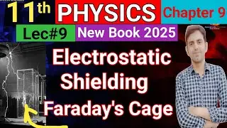 Shielding from External Electric Field/Faraday's Cage | 11th Class Physics New Book Chapter 9