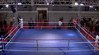 FIGHT NIGHT RUGVICA 20247