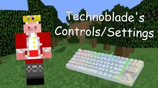 Technoblade's Minecraft Controls & Settings (dream smp)