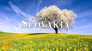 Spring Slovakia 4K Ultra HD &bull; Explore Beautiful Spring Slovakia, Relaxation Film with Calming Music.