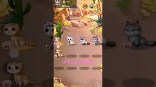 clip claps coin cat game