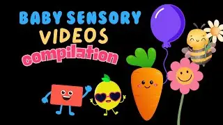 Baby Sensory Videos Compilation