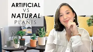 Artificial Vs Natural Plants - Which one is BEST?