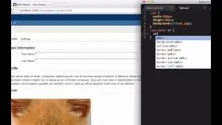 Live Reload in Atlassian Plugin SDK 4.0