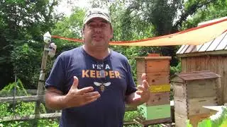 Beekeeper Background: Rob Schwartz - Bees With Girl Scout Caroline