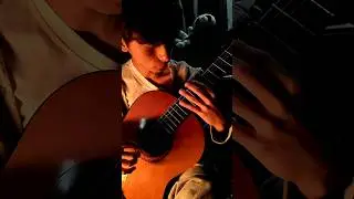 Harmonics- a beauty ...                           #shorts #guitar #music
