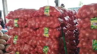 CEASA de MACEIÓ ALAGOAS muitos frutos 🍋🥝🍐🍏e verduras 🥦🧅🫑.