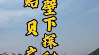孤岛壁下探秘（7）海上牧场，贻贝之乡，小小淡菜做成海岛大大产业#浙江#舟山#渔民生活 #海岛 #海边生活