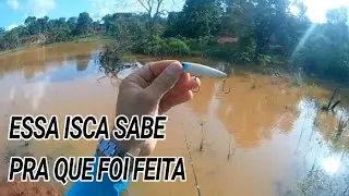 PESCA DE TRA&Iacute;RA NO PLUG - Parte 1/3💥 Confira! #pesca #pescaesportiva #traira
