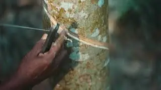 UDF ELECTION CAMPAIGN | AGRICULTURE | DIRECTORS CUT