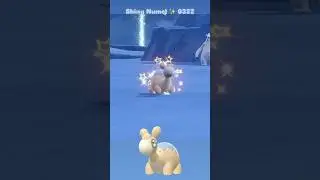 Shiny Numel ✨ 0322 caught in Pokemon Scarlet Indigo Disk DLC with Mass Outbreak Event on Switch 2