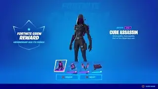 Cube Assassin - Fortnite Crew Review