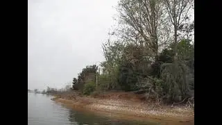 Bird Island, Cherokee Lake.