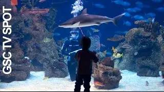 Greensboro Science Center TV Spot - July 2015